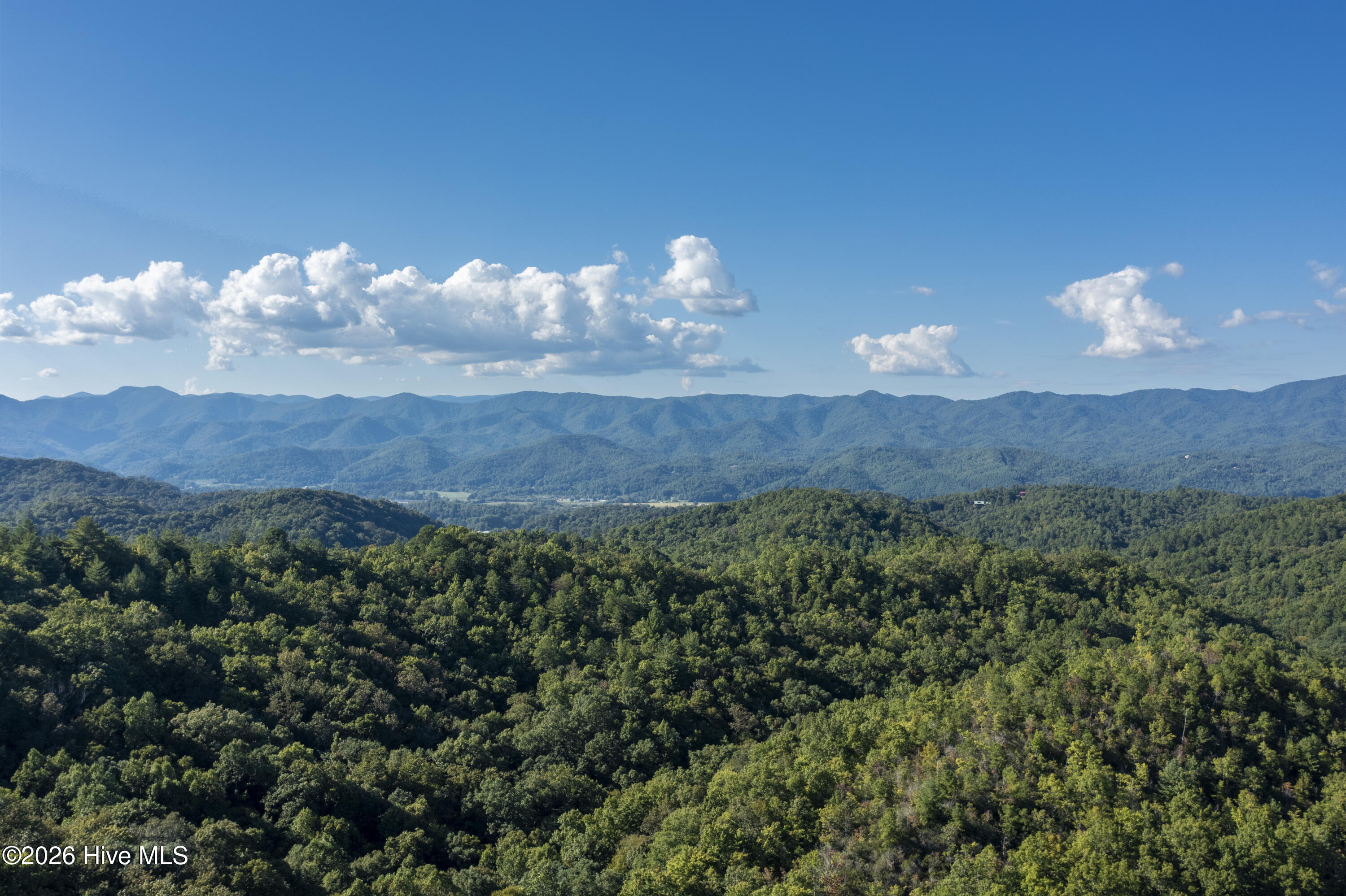 90 Ac Tree House Road Property Photo 19