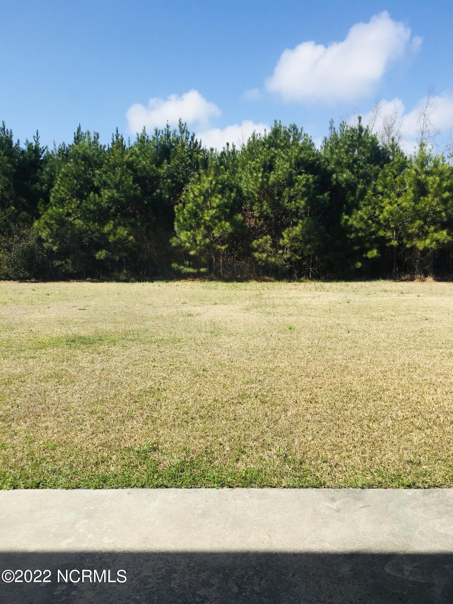 101 E Coopers Court Property Photo 18