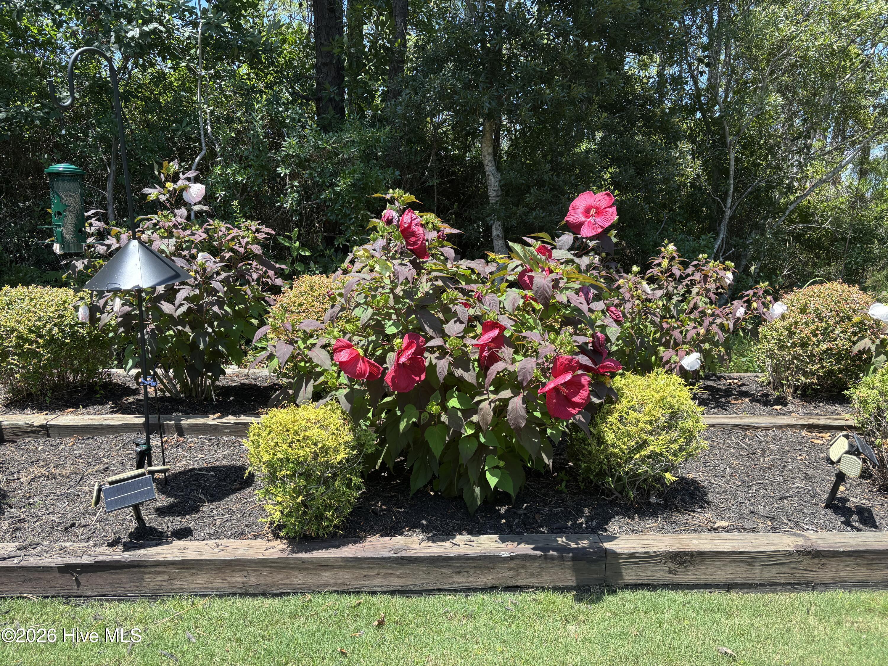 3693 Wingfoot Drive Property Photo 67