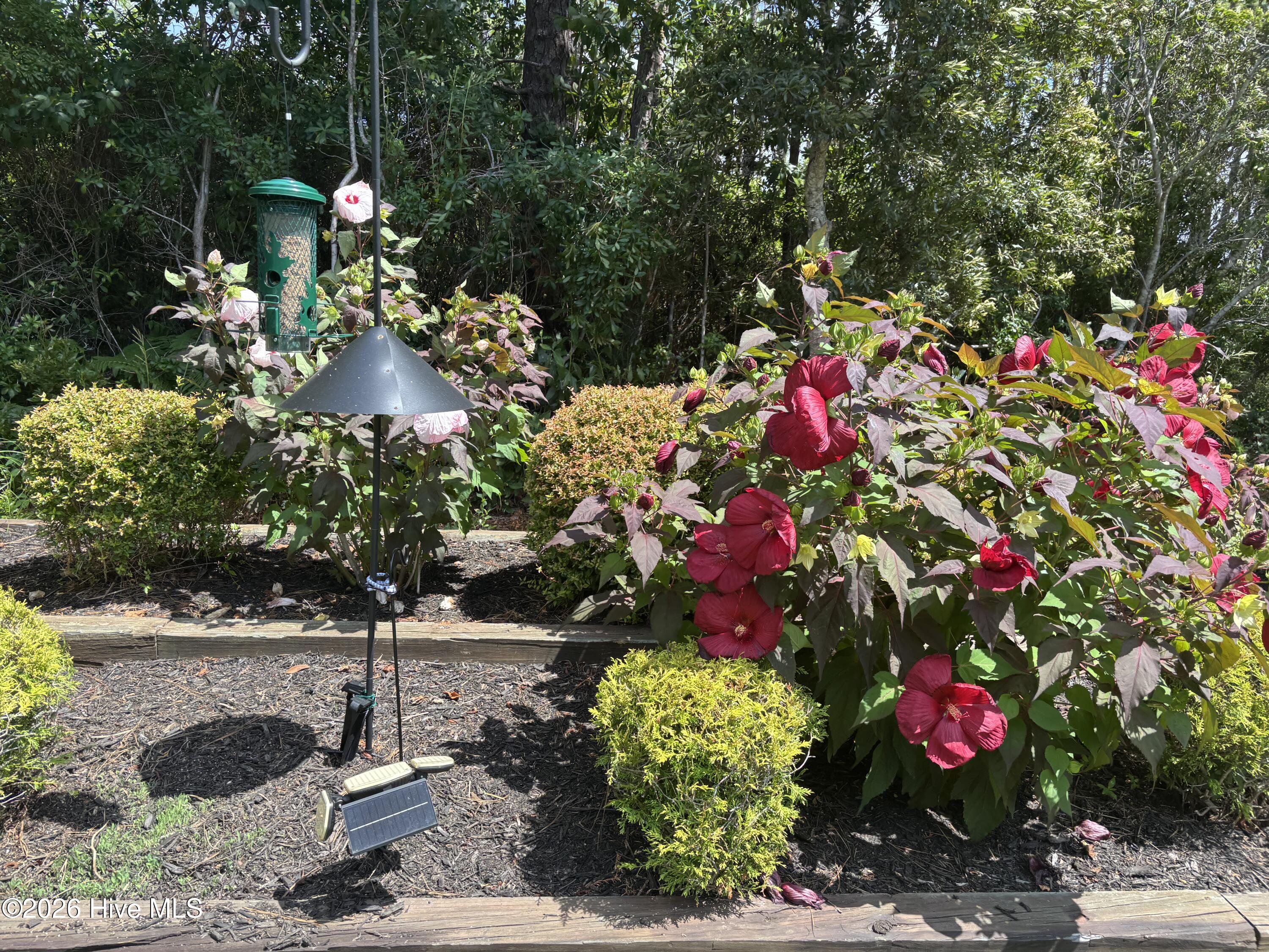 3693 Wingfoot Drive Property Photo 71