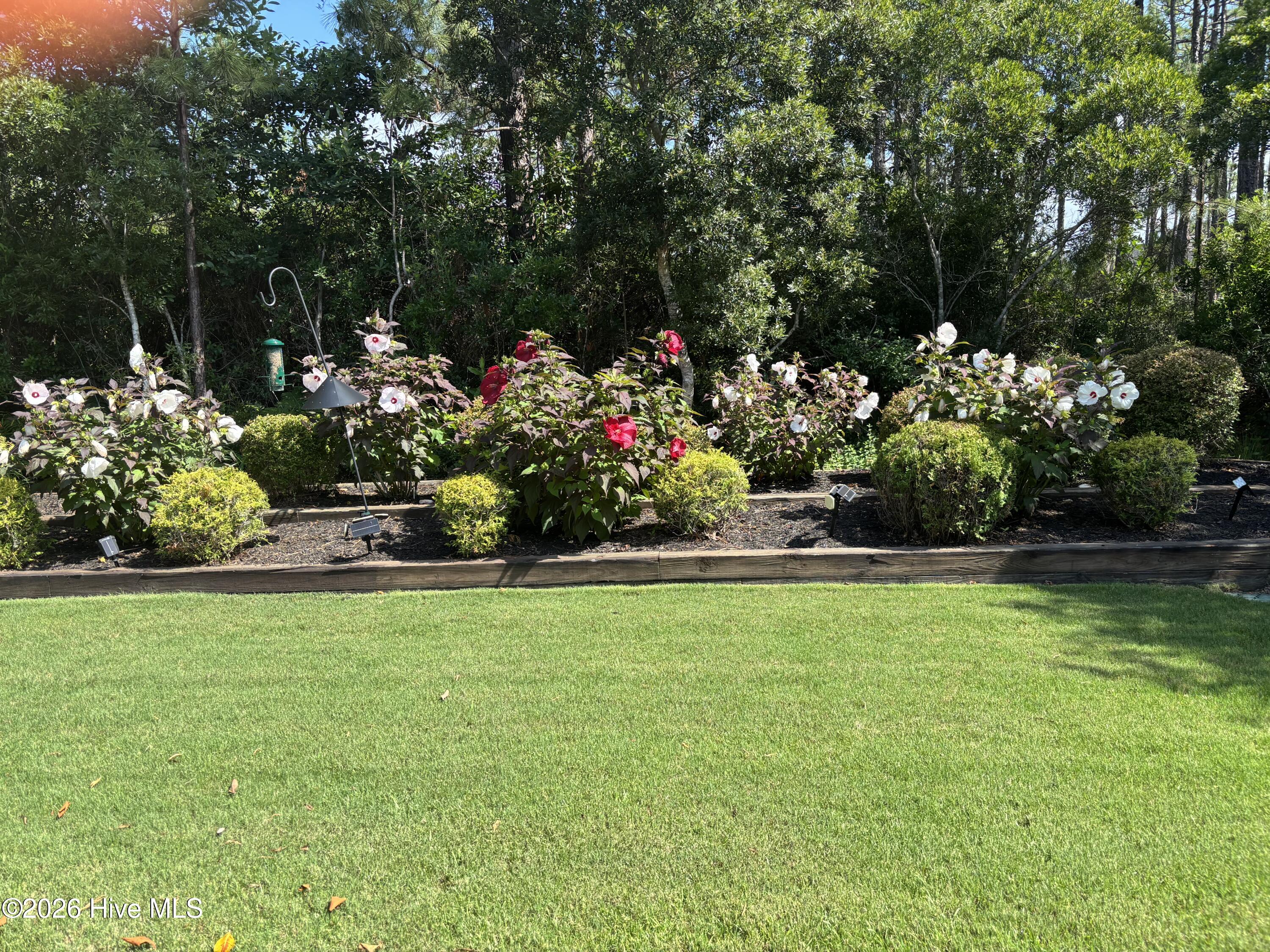 3693 Wingfoot Drive Property Photo 75