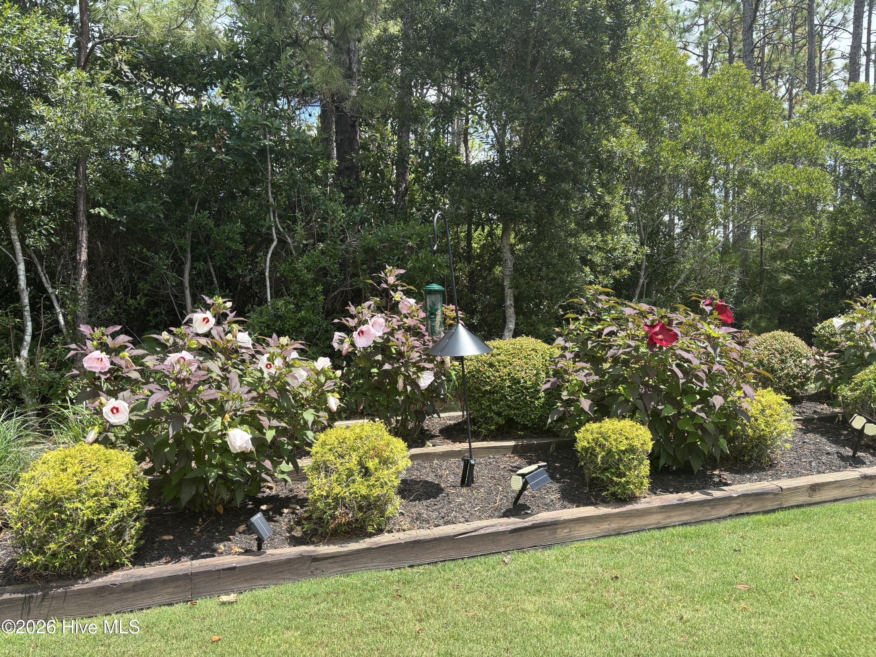 3693 Wingfoot Drive Property Photo 90