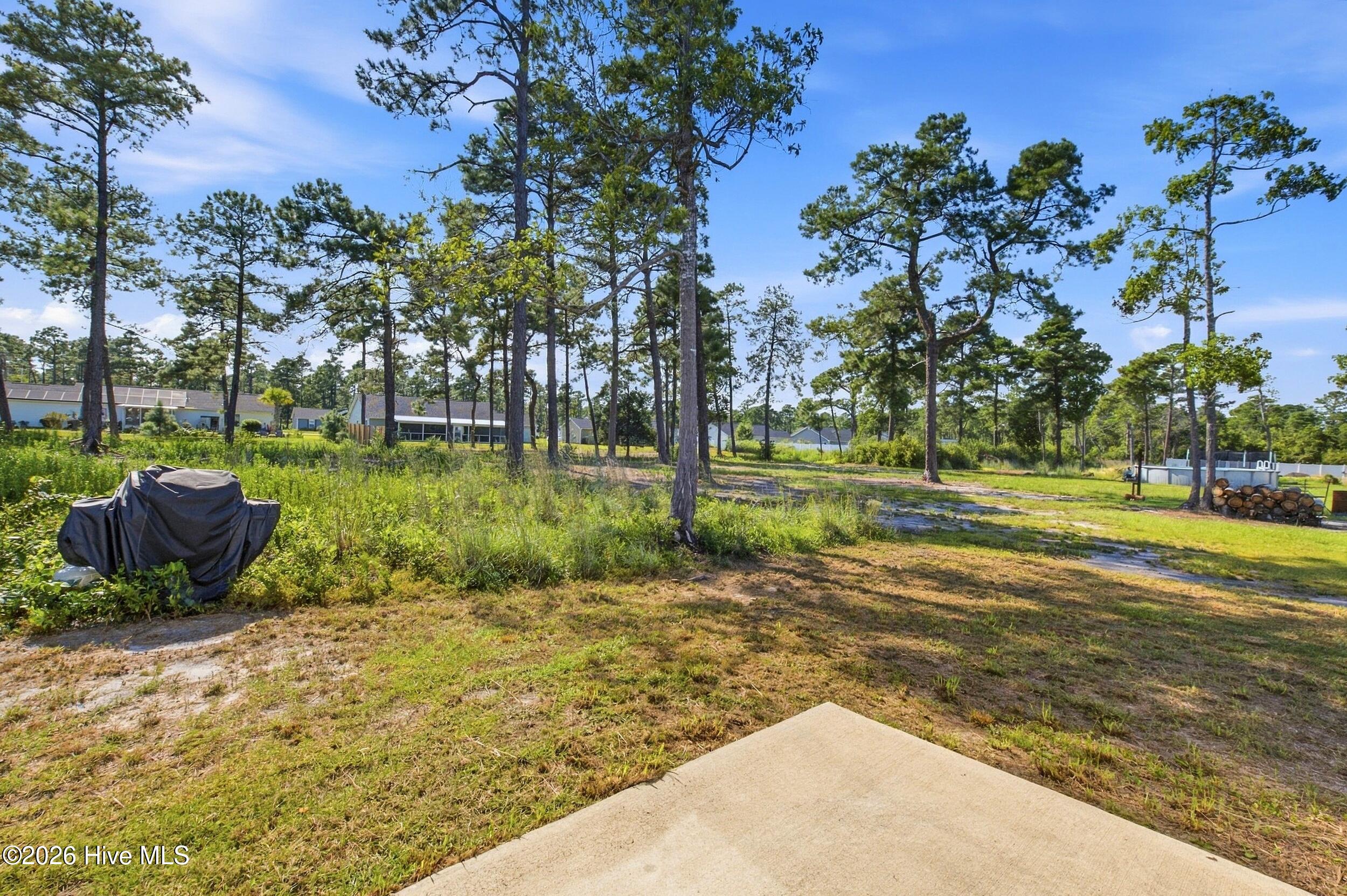 910 Pine Needles Road Property Photo 30