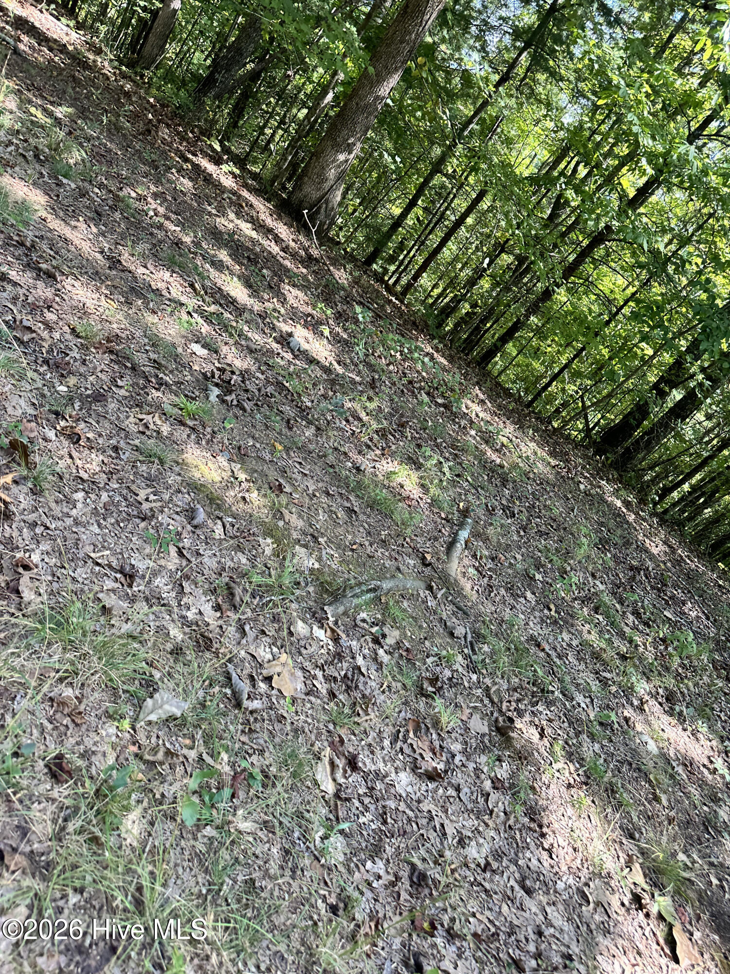872 T-11 Property Photo 3