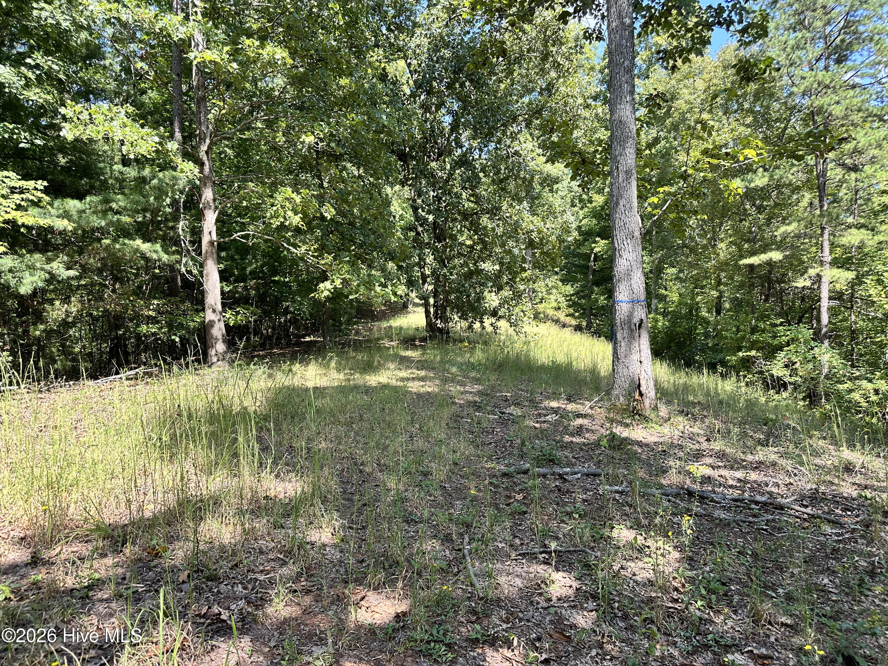 872 T-11 Property Photo 5