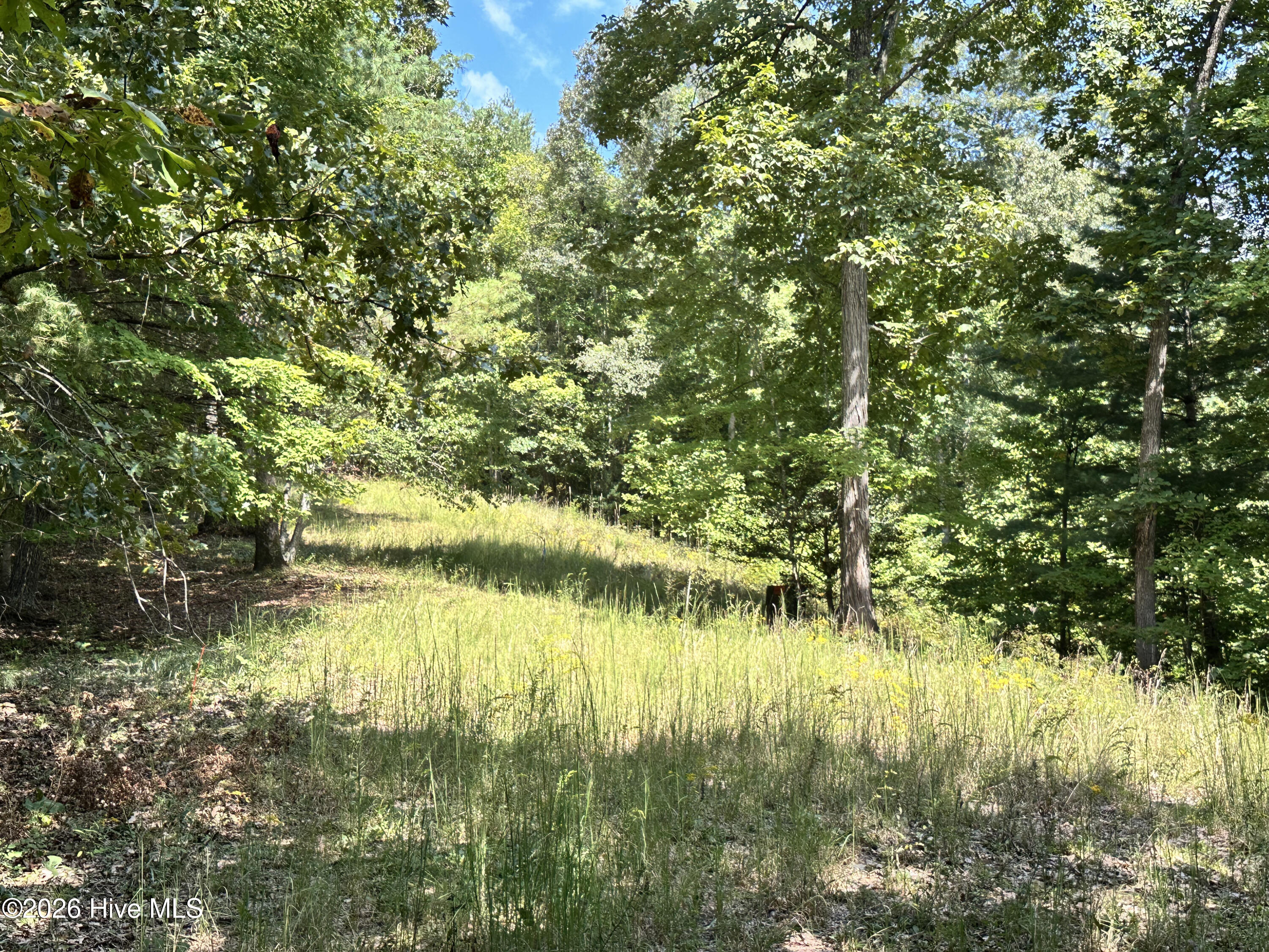 872 T-11 Property Photo 6
