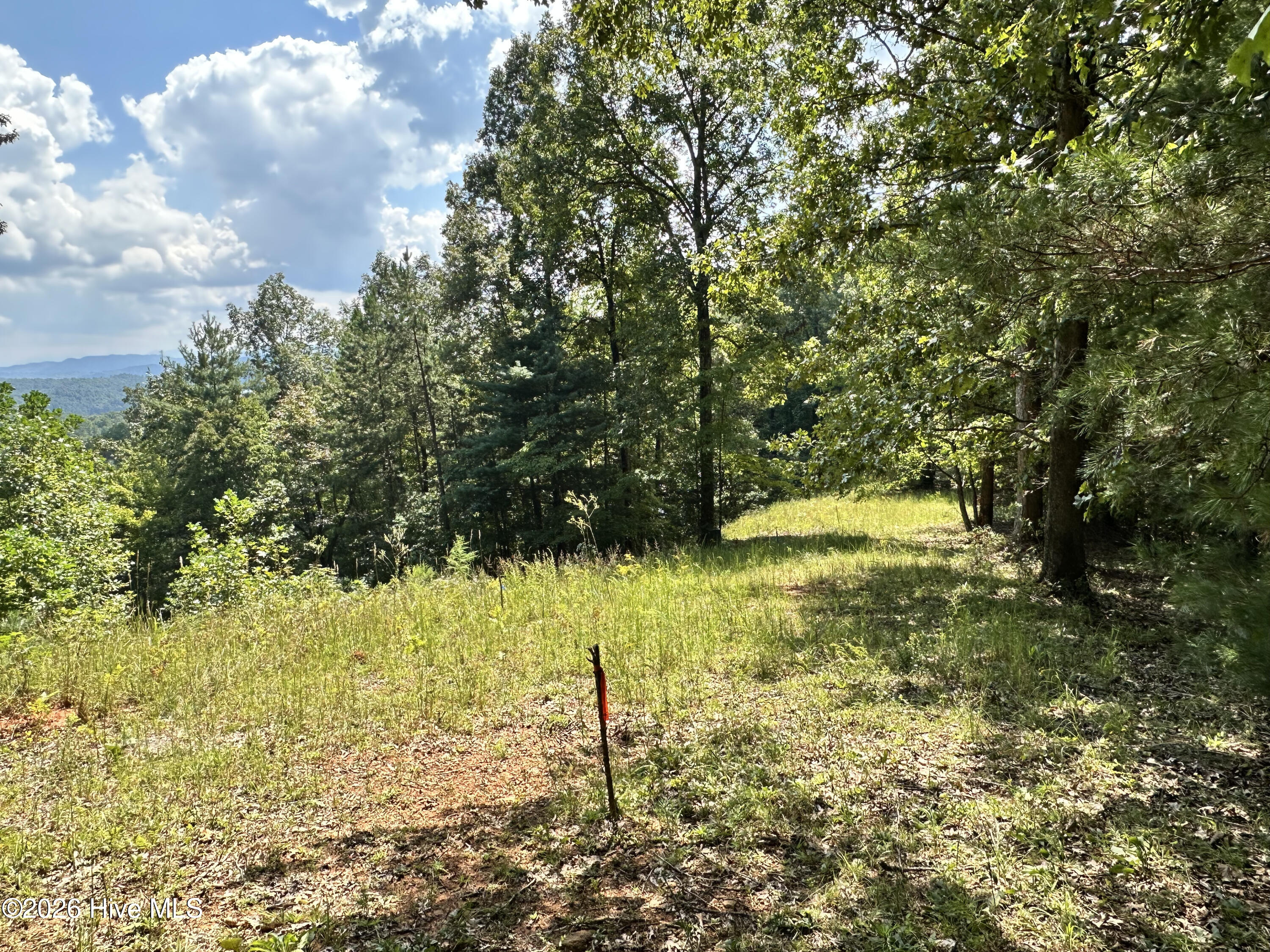872 T-11 Property Photo 15