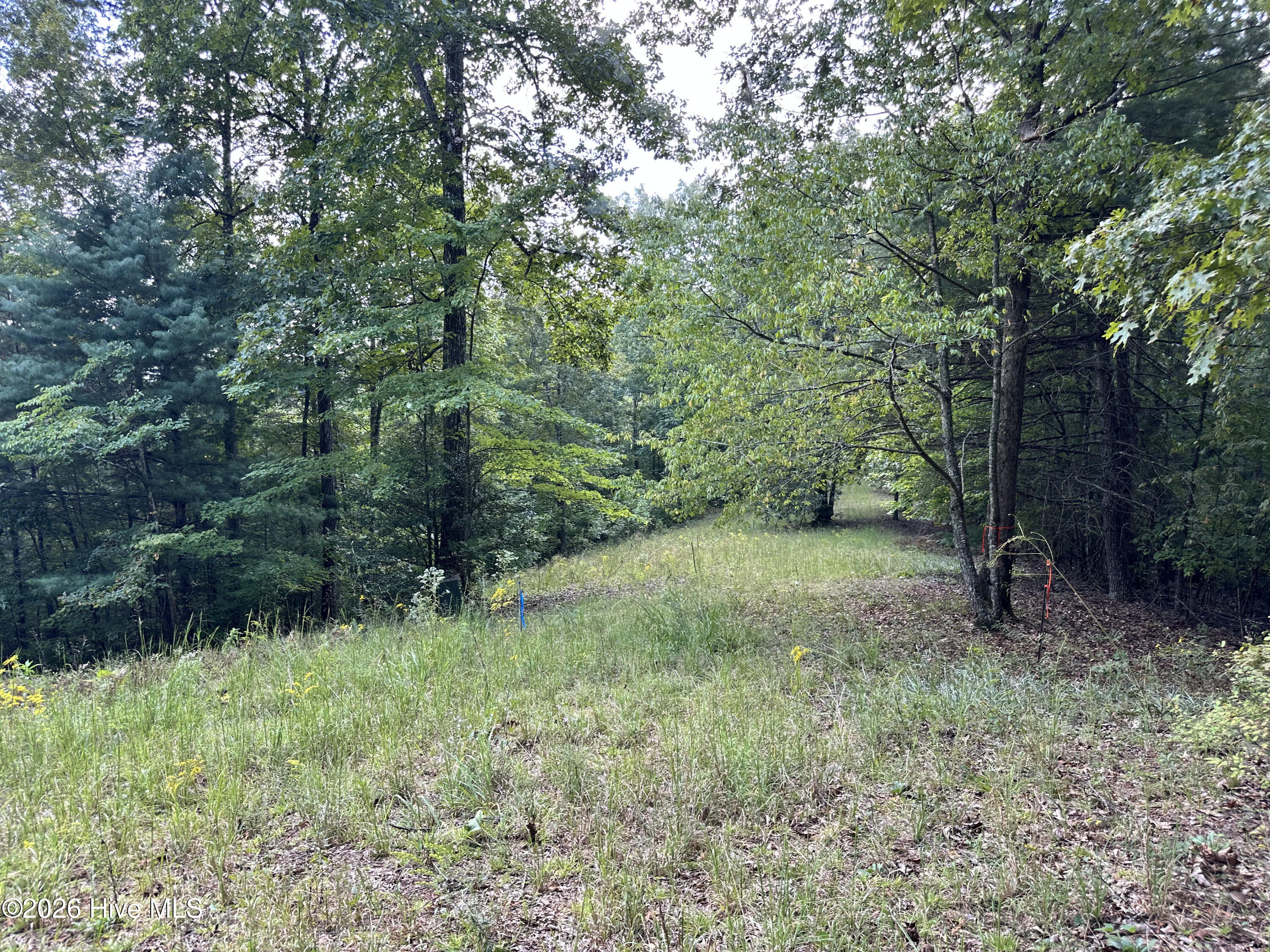 872 T-11 Property Photo 16