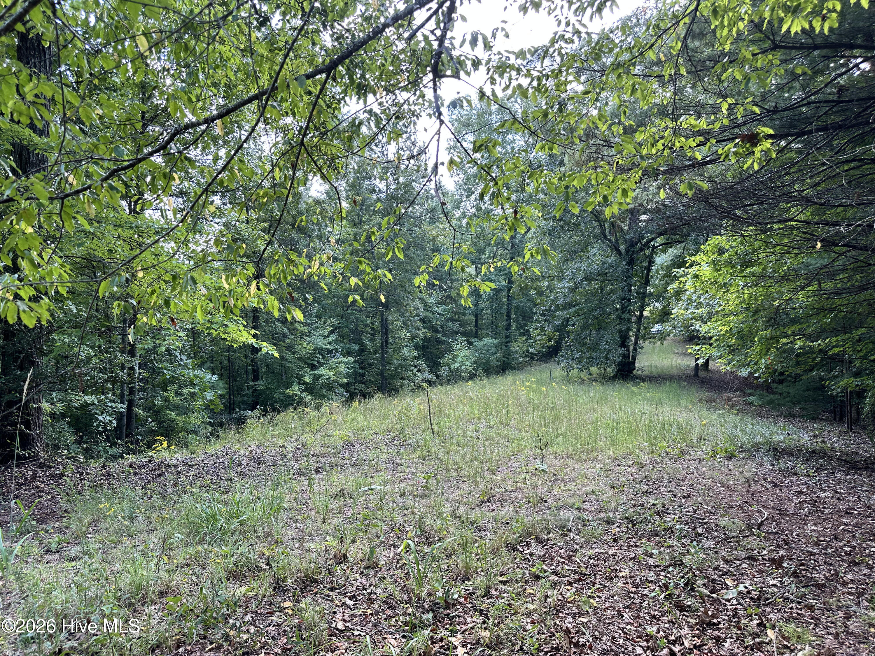 872 T-11 Property Photo 17