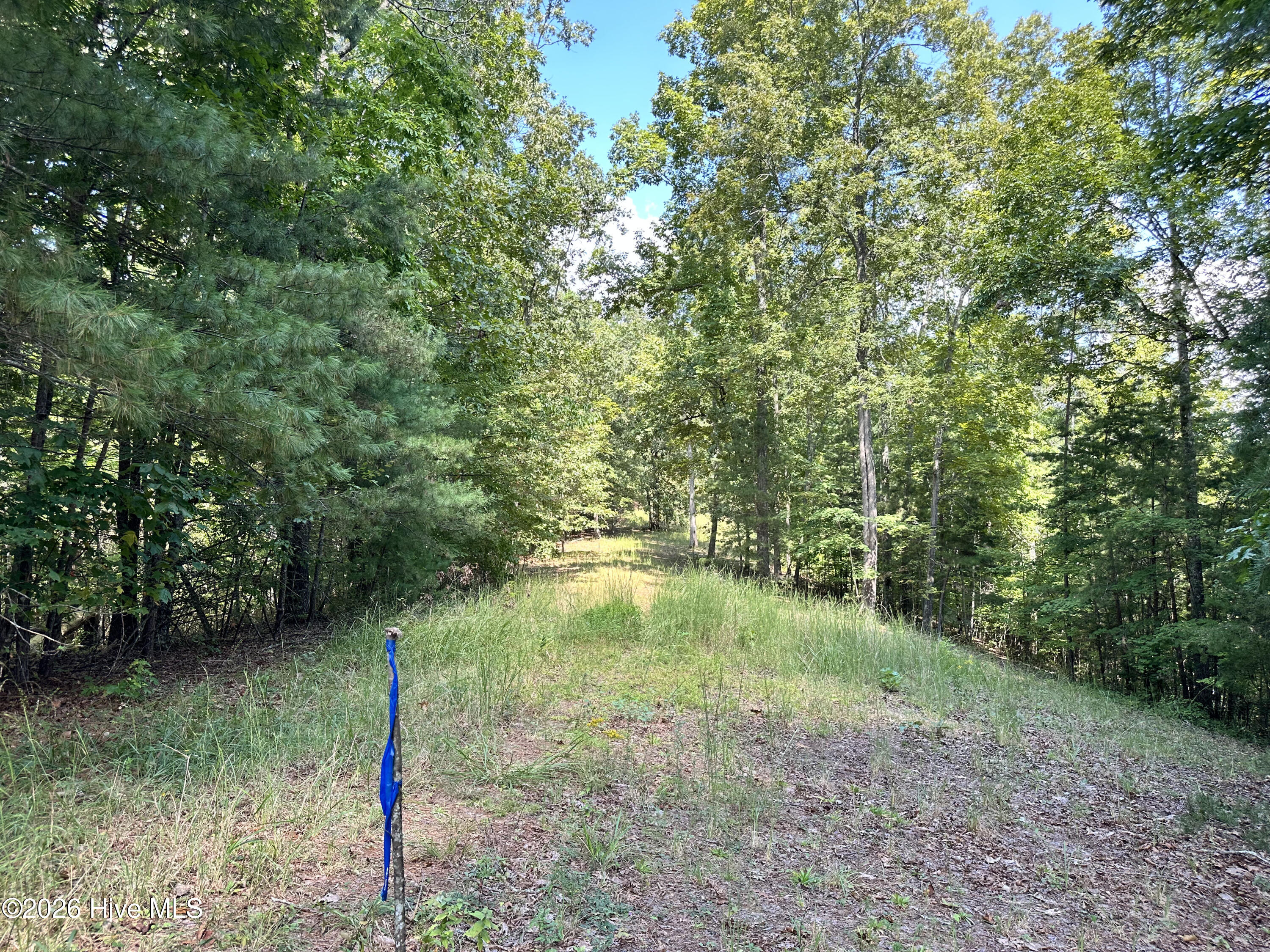 872 T-11 Property Photo 19