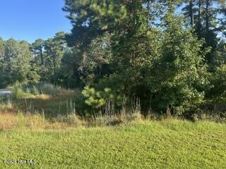 1616 144 Caracara Drive Property Photo 22