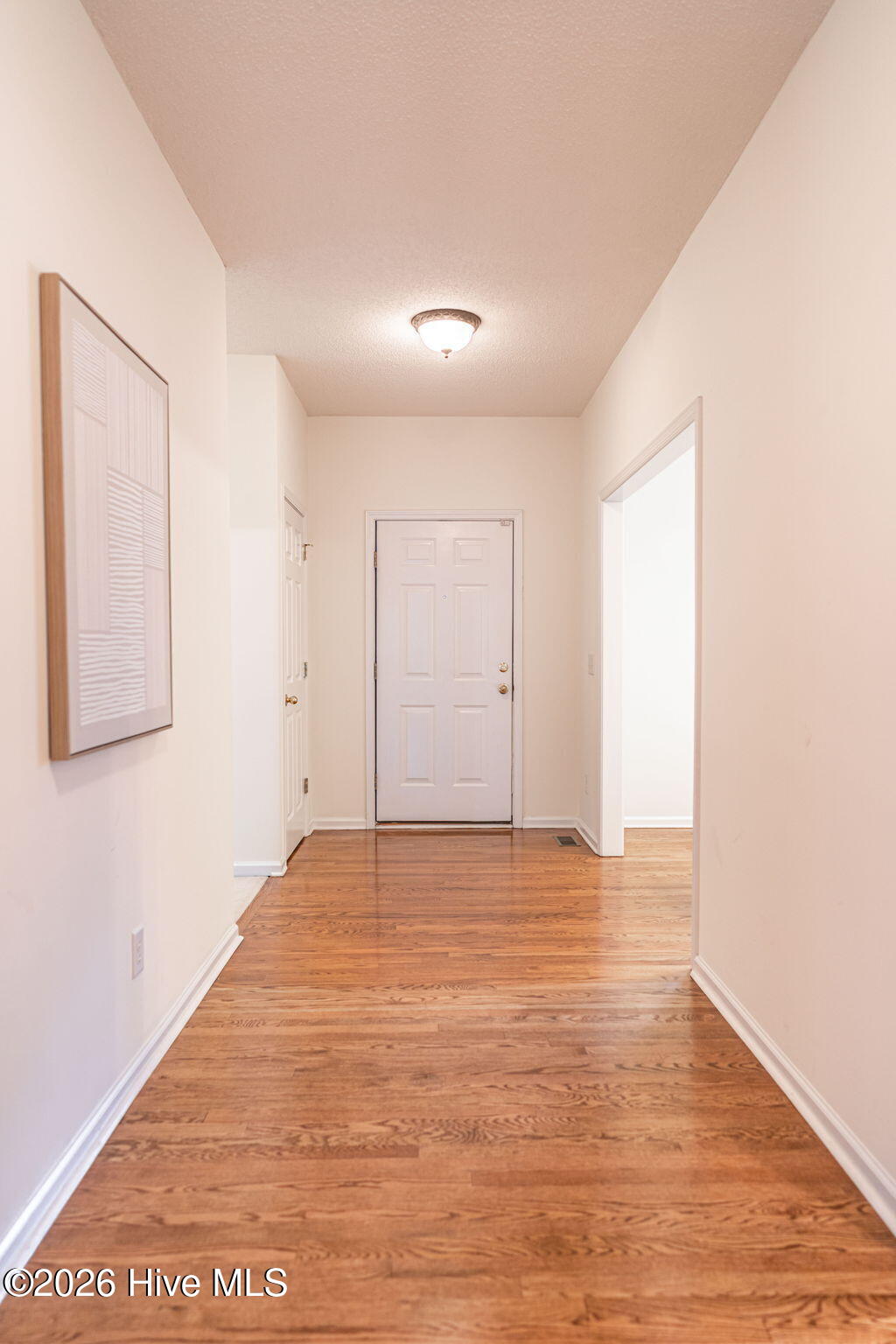 2 Ice Court Property Photo 19