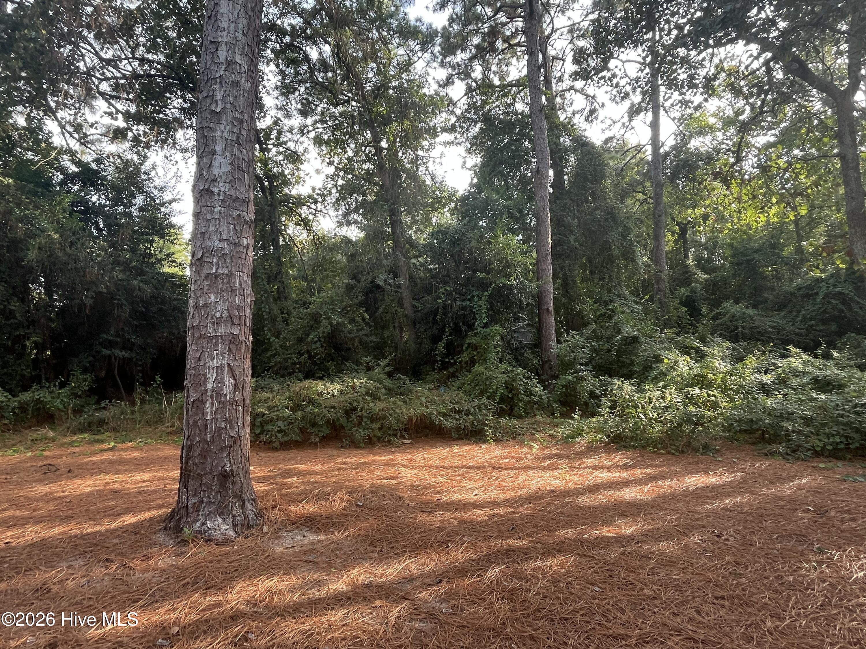 609 Longleaf Road A Property Photo 20