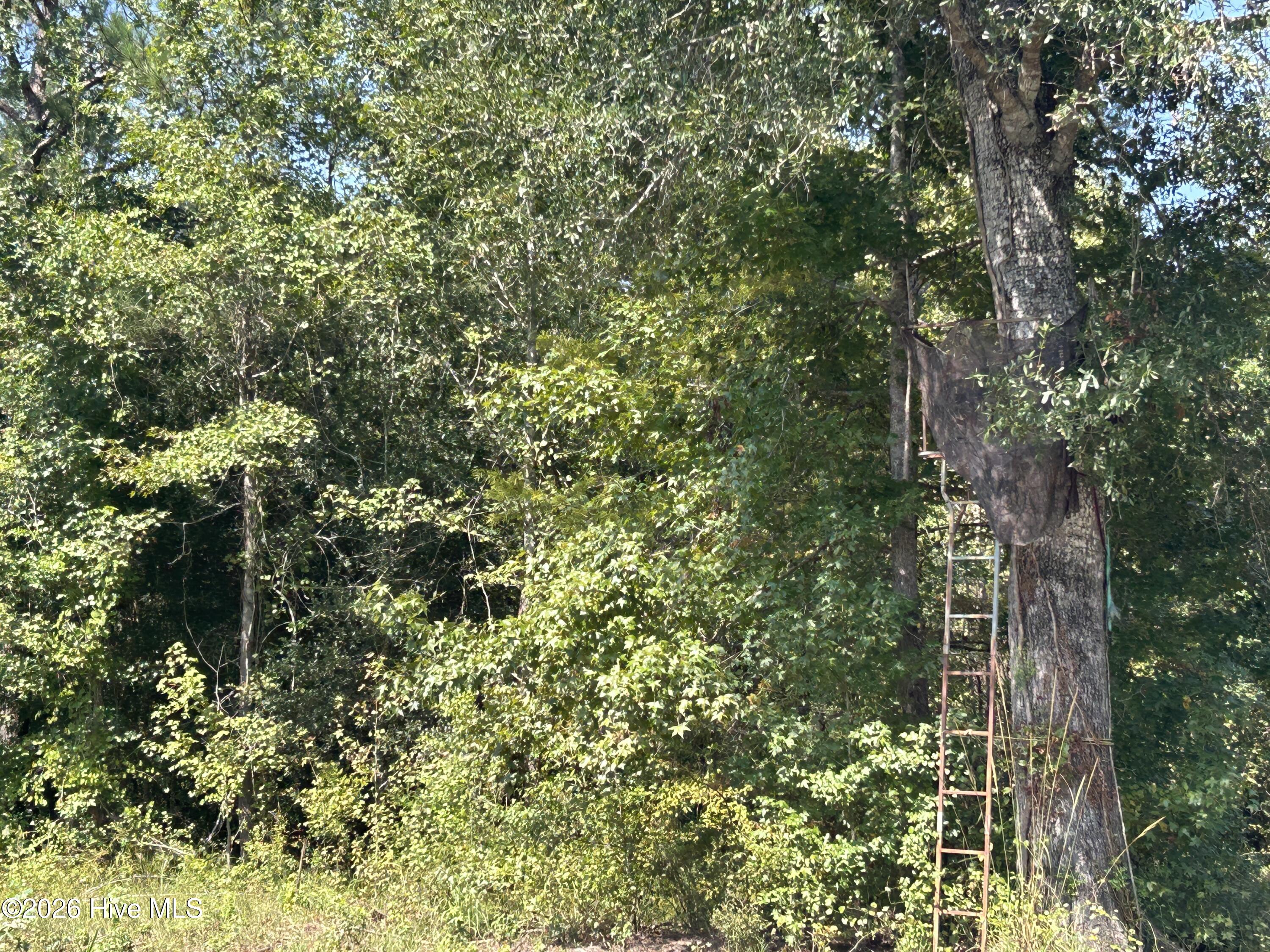 466 Indigo E Property Photo 38