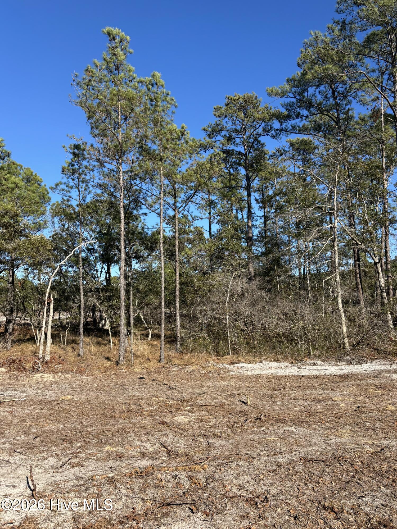 Lot 131 Coral Gull Street Property Photo 1
