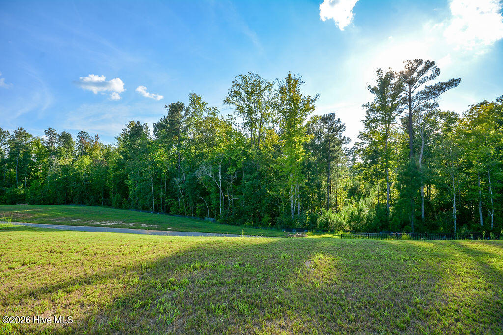 268 Umstead Street Property Photo 55