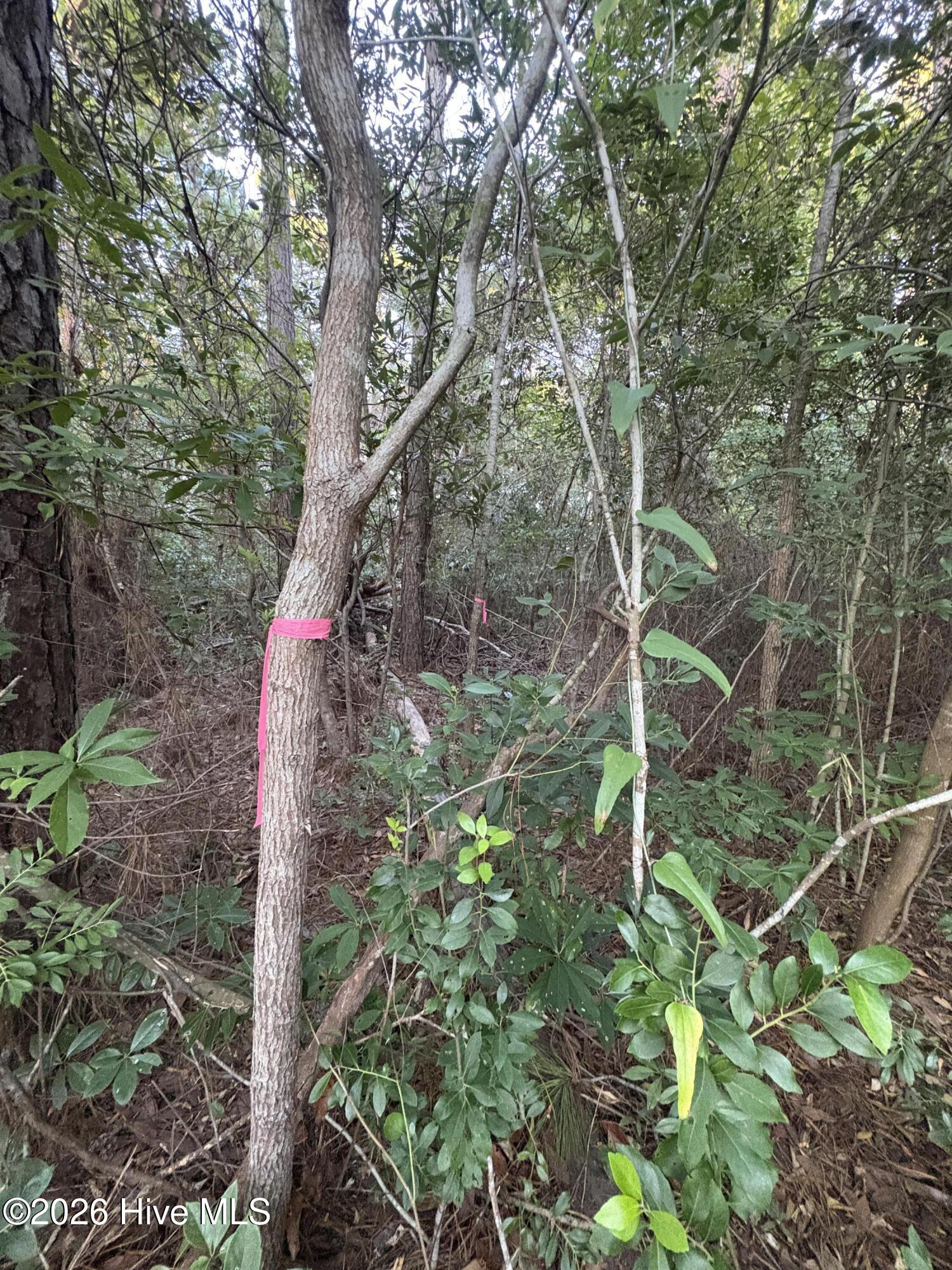 524 252 Boundary Loop Road Nw Property Photo 3