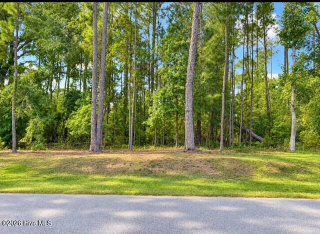 4209 Anderson Circle Property Photo 2