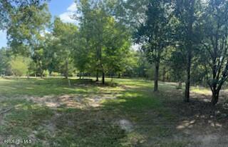 855 36 Dixie Drive Property Photo 5