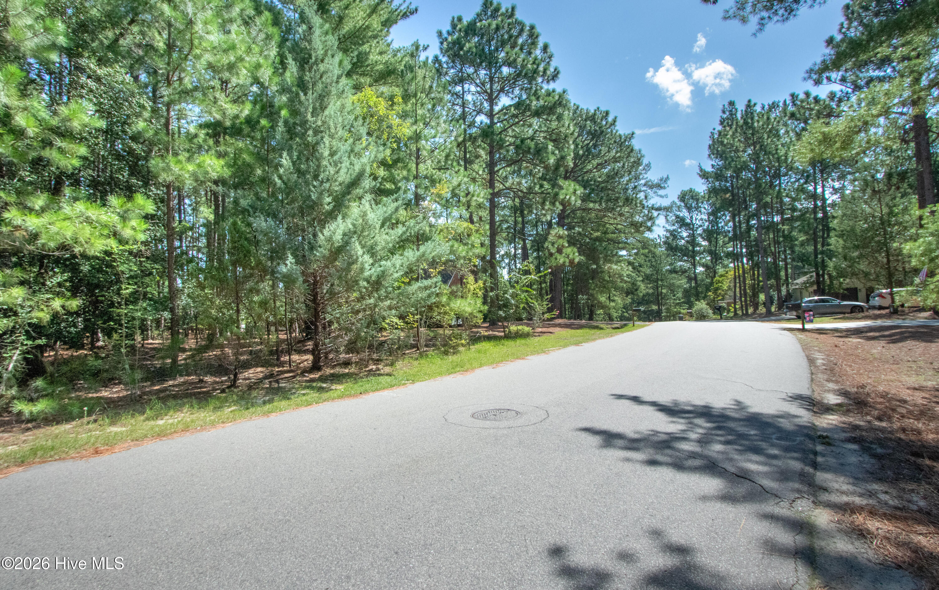 245 Pine Vista Drive Property Photo 1