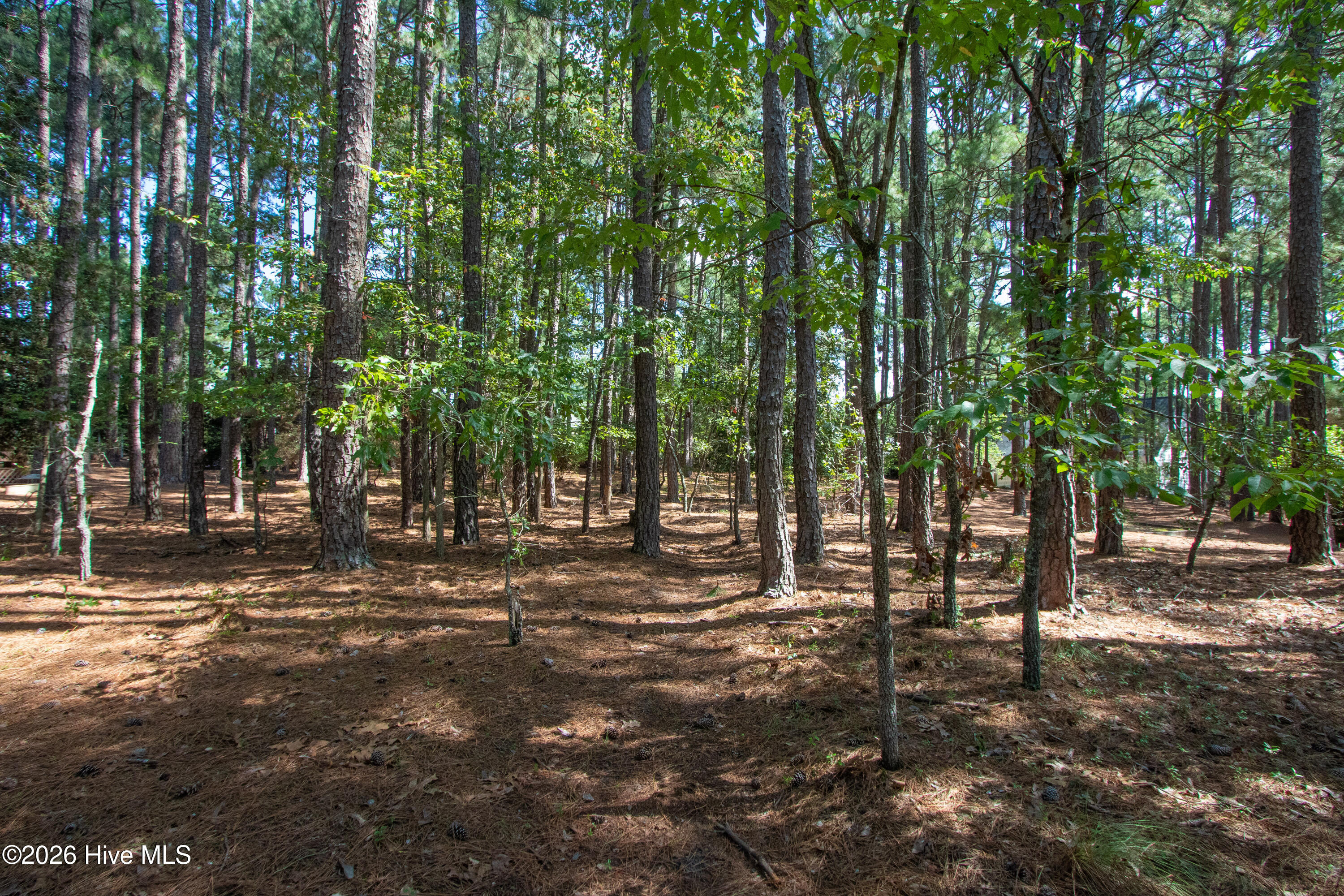 245 Pine Vista Drive Property Photo 2