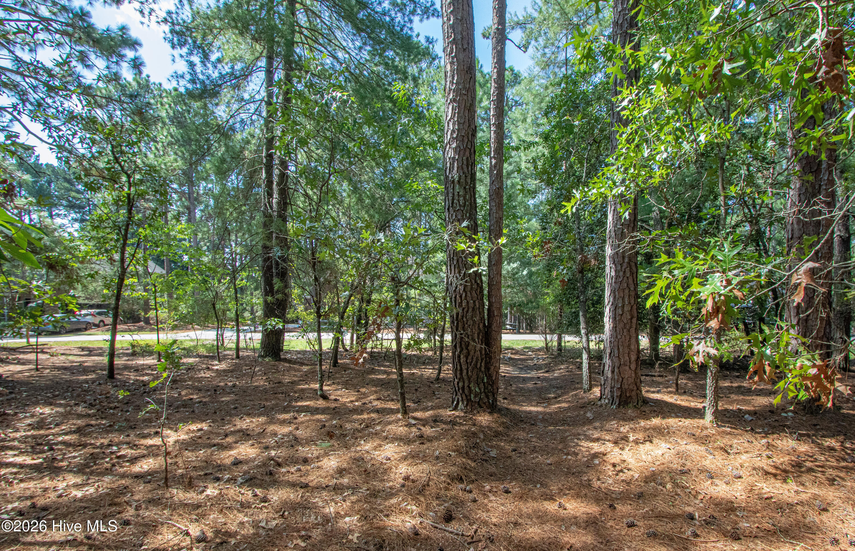 245 Pine Vista Drive Property Photo 5