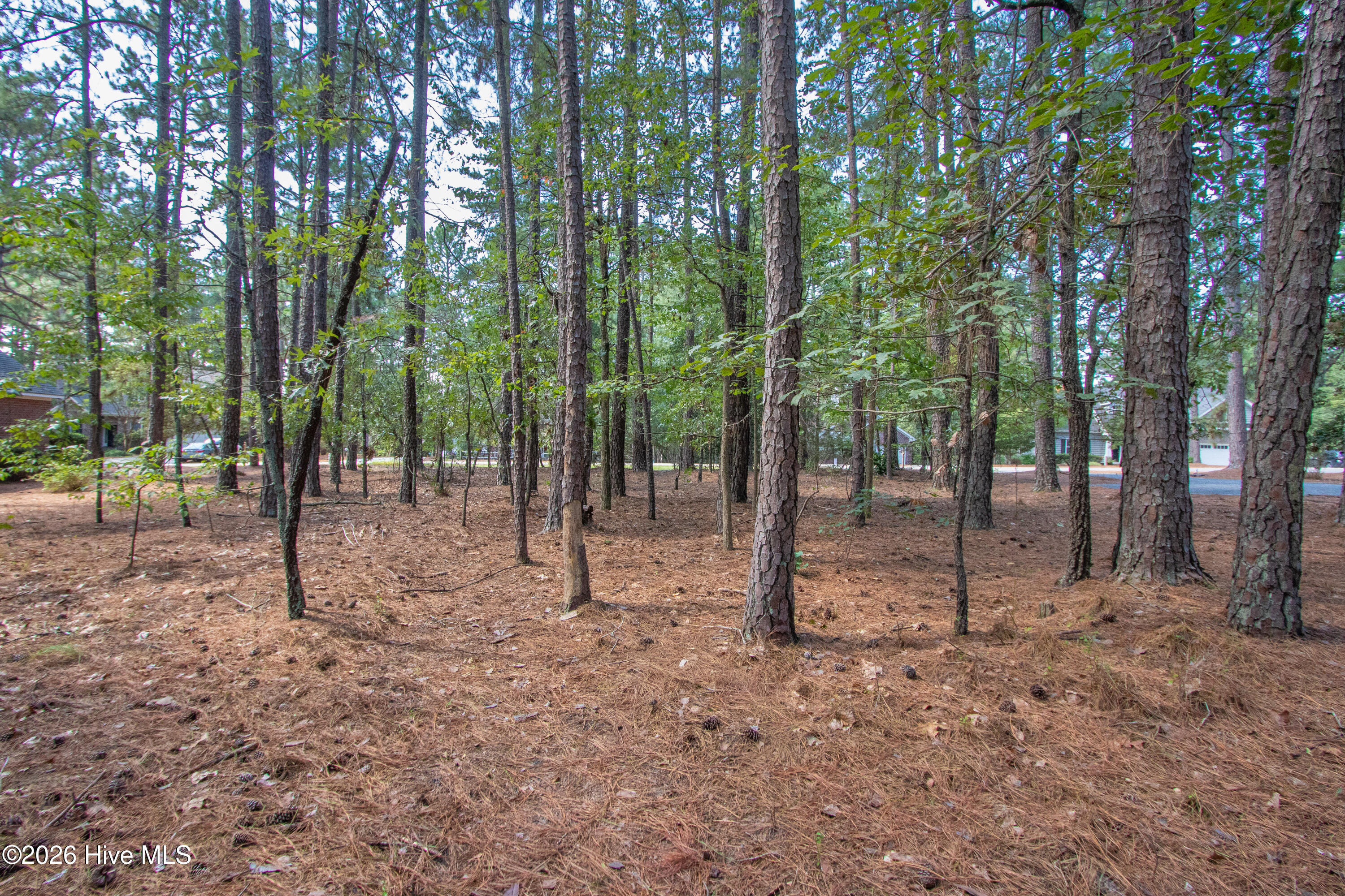 245 Pine Vista Drive Property Photo 6