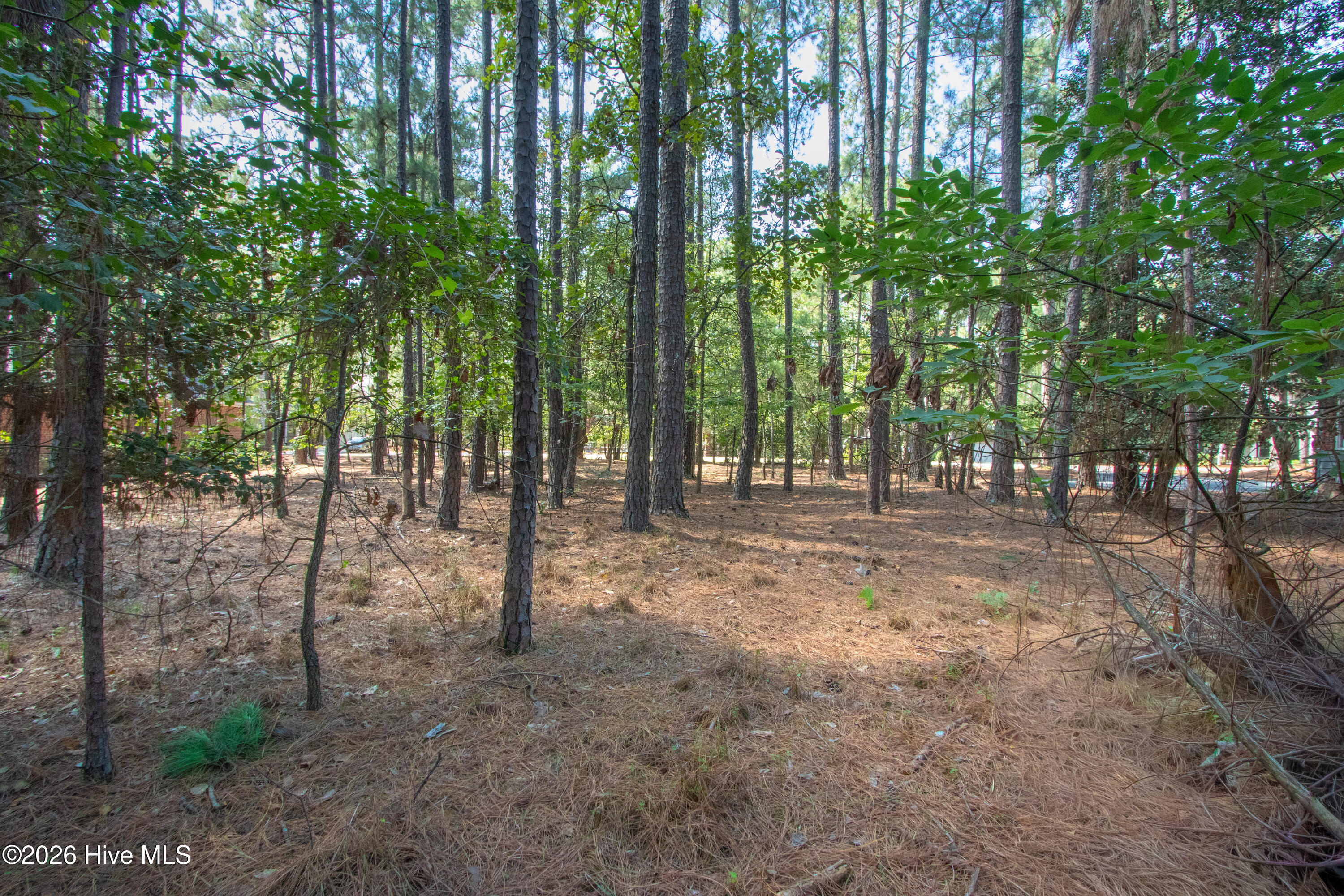 245 Pine Vista Drive Property Photo 7