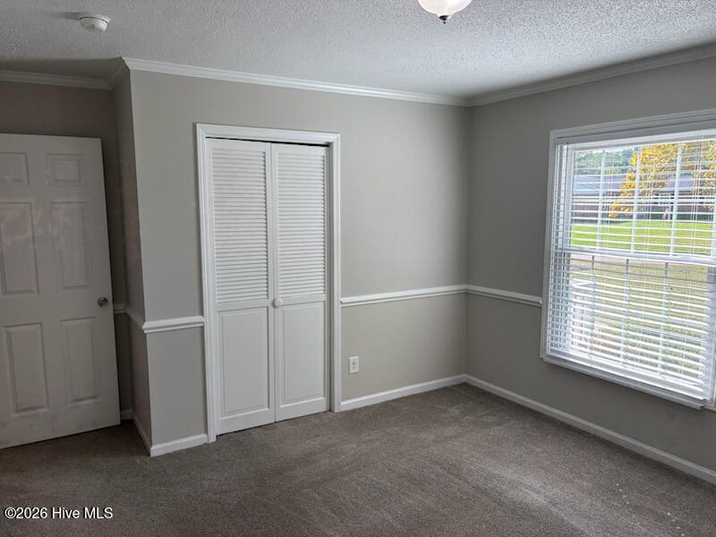 300 Westfield Drive Property Photo 12