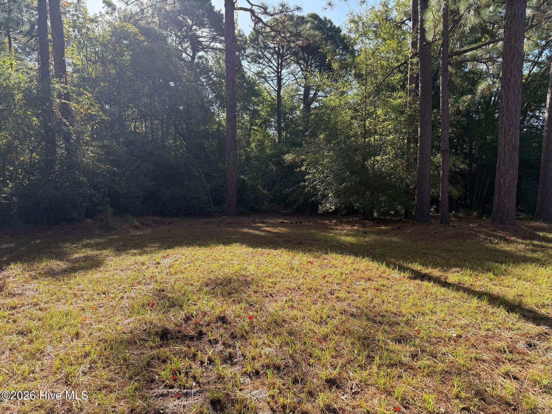 553 Nc 172 Property Photo 18