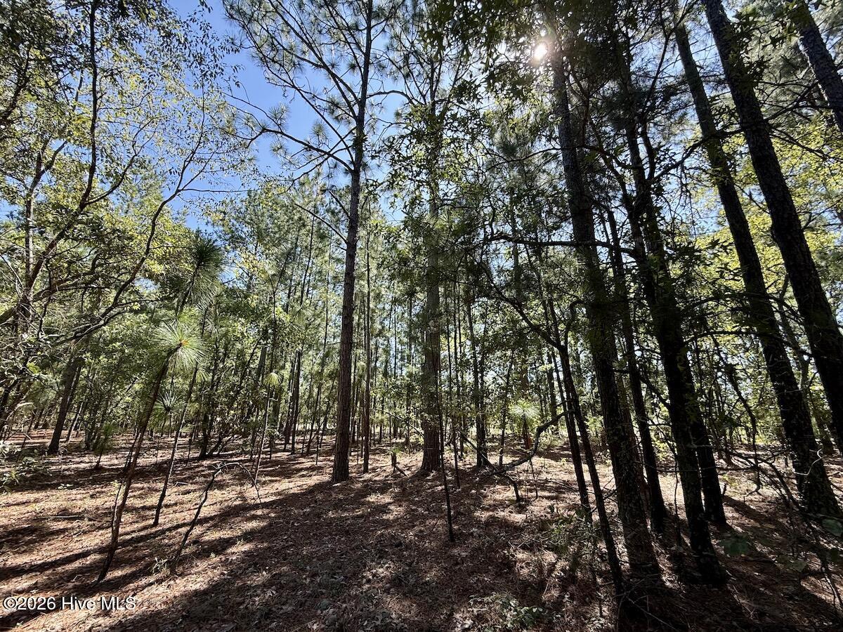 Lot 10 Marks Road Property Photo 16