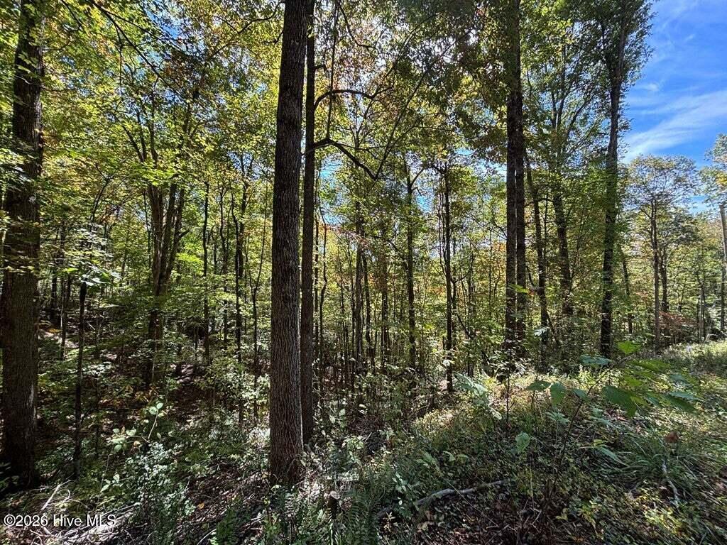 2 Holly Ridge Drive Property Photo 2