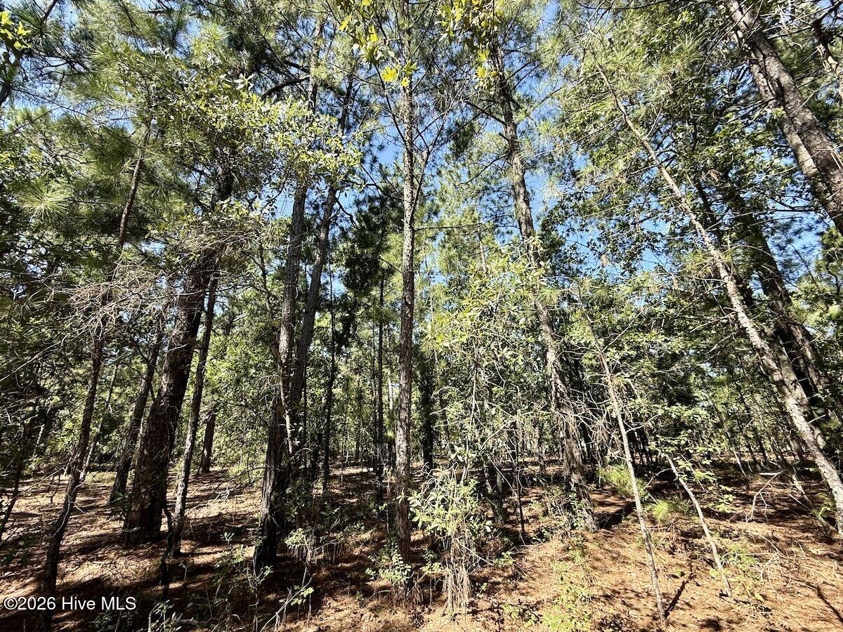 Lot 11 Marks Road Property Photo 14