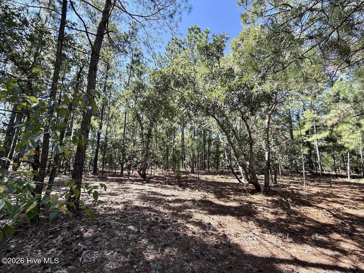 Lot 11 Marks Road Property Photo 15
