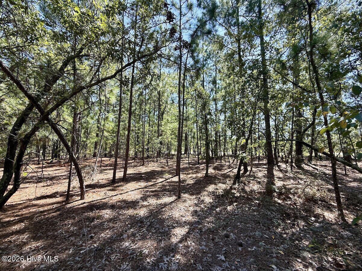 Lot 11 Marks Road Property Photo 16