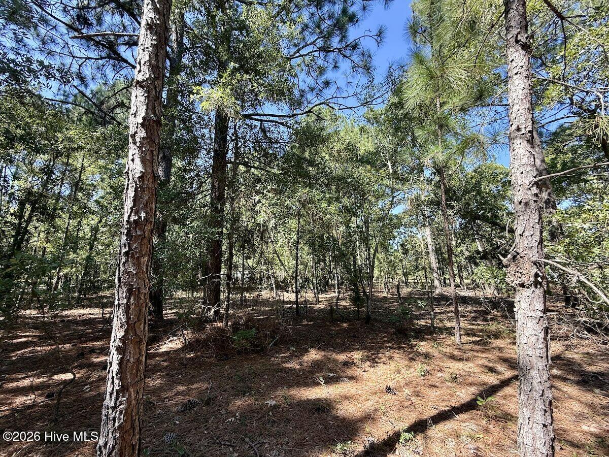 Lot 11 Marks Road Property Photo 18