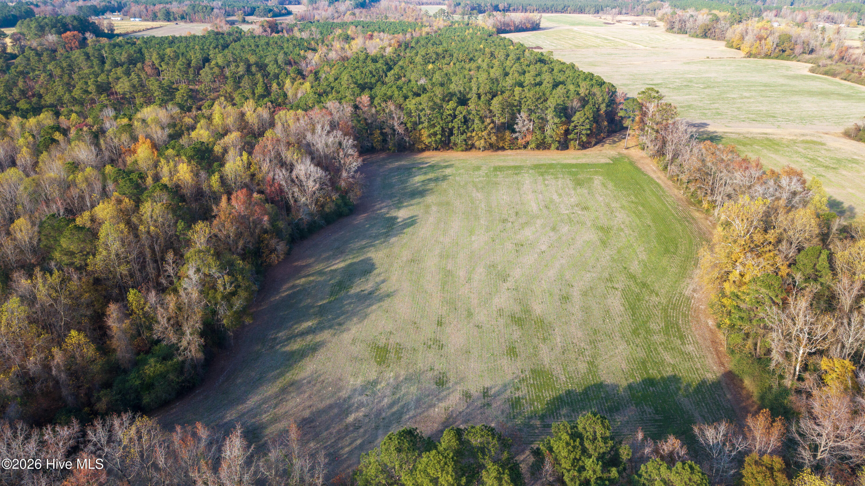 41.5 Acres High School Road Property Photo 1