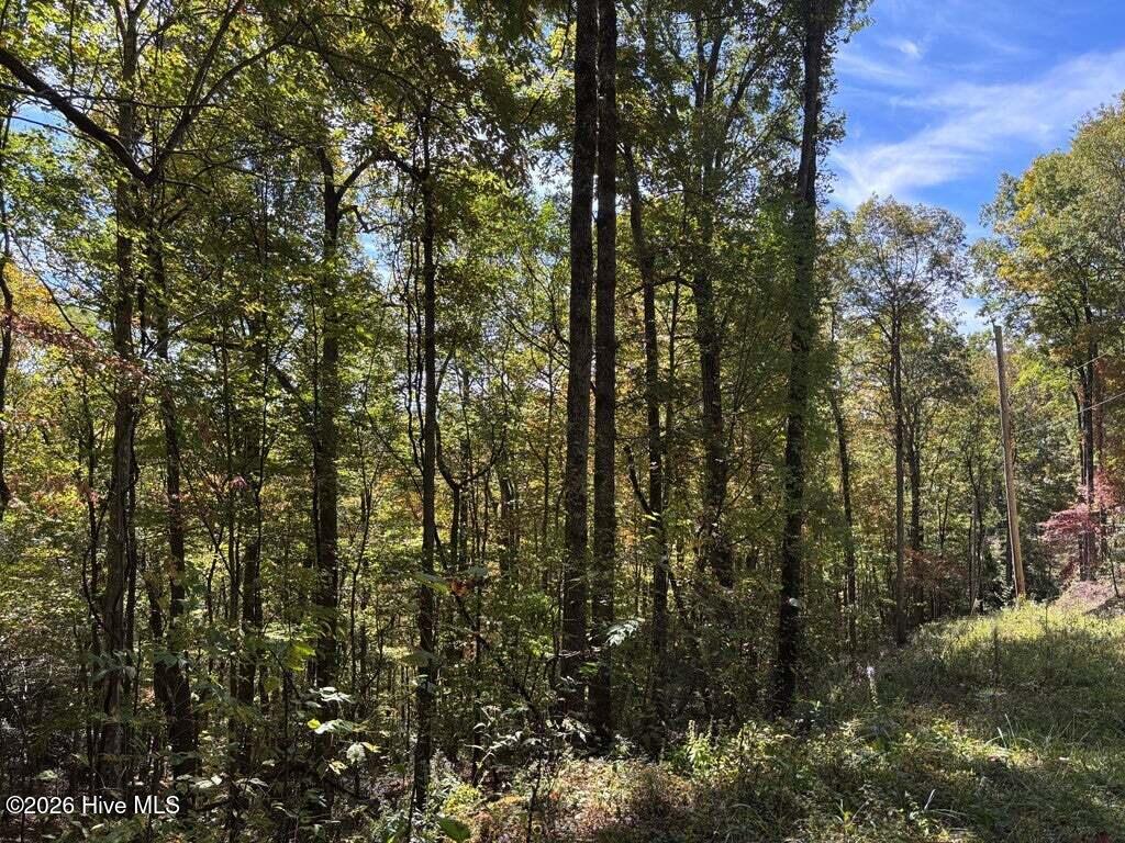 3 Holly Ridge Drive Property Photo 1