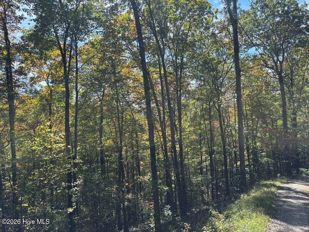 3 Holly Ridge Drive Property Photo 2