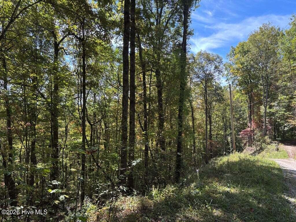 3 Holly Ridge Drive Property Photo 3