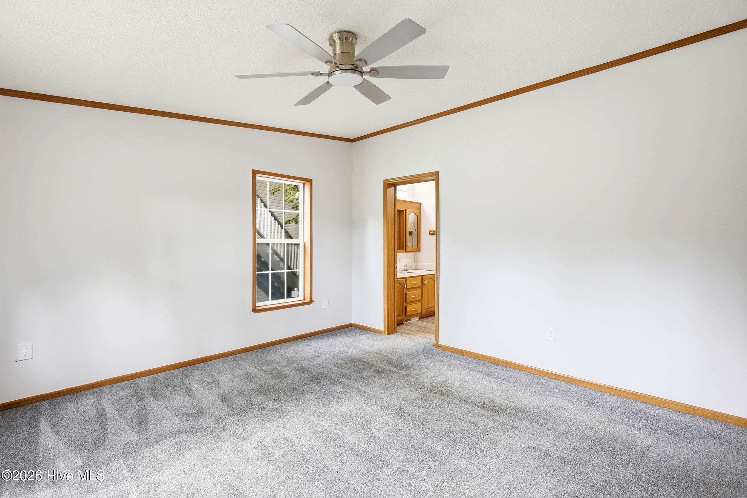 38 Thompson Court Property Photo 19