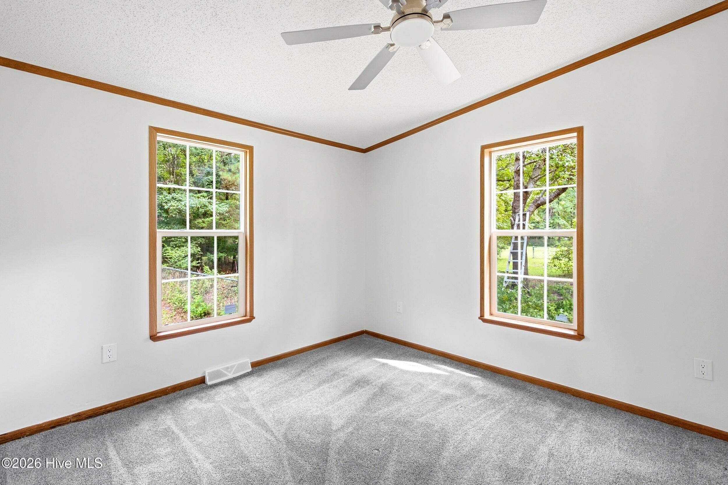 38 Thompson Court Property Photo 26