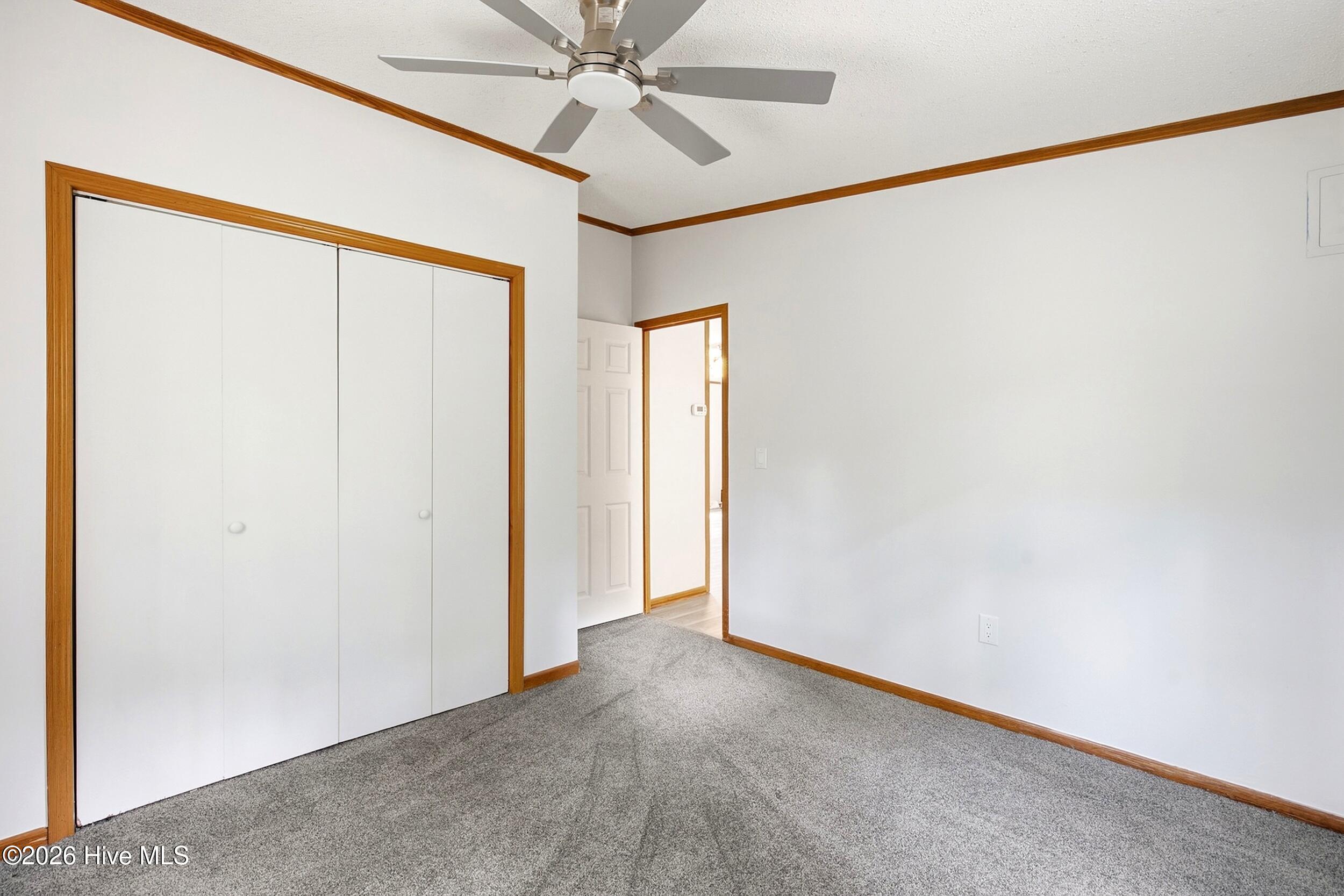 38 Thompson Court Property Photo 27