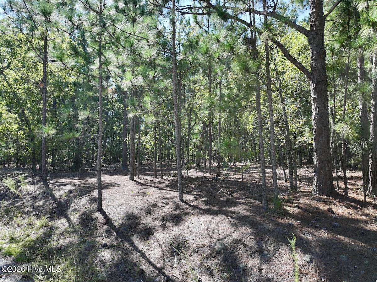 Lot 12 Marks Road Property Photo 14