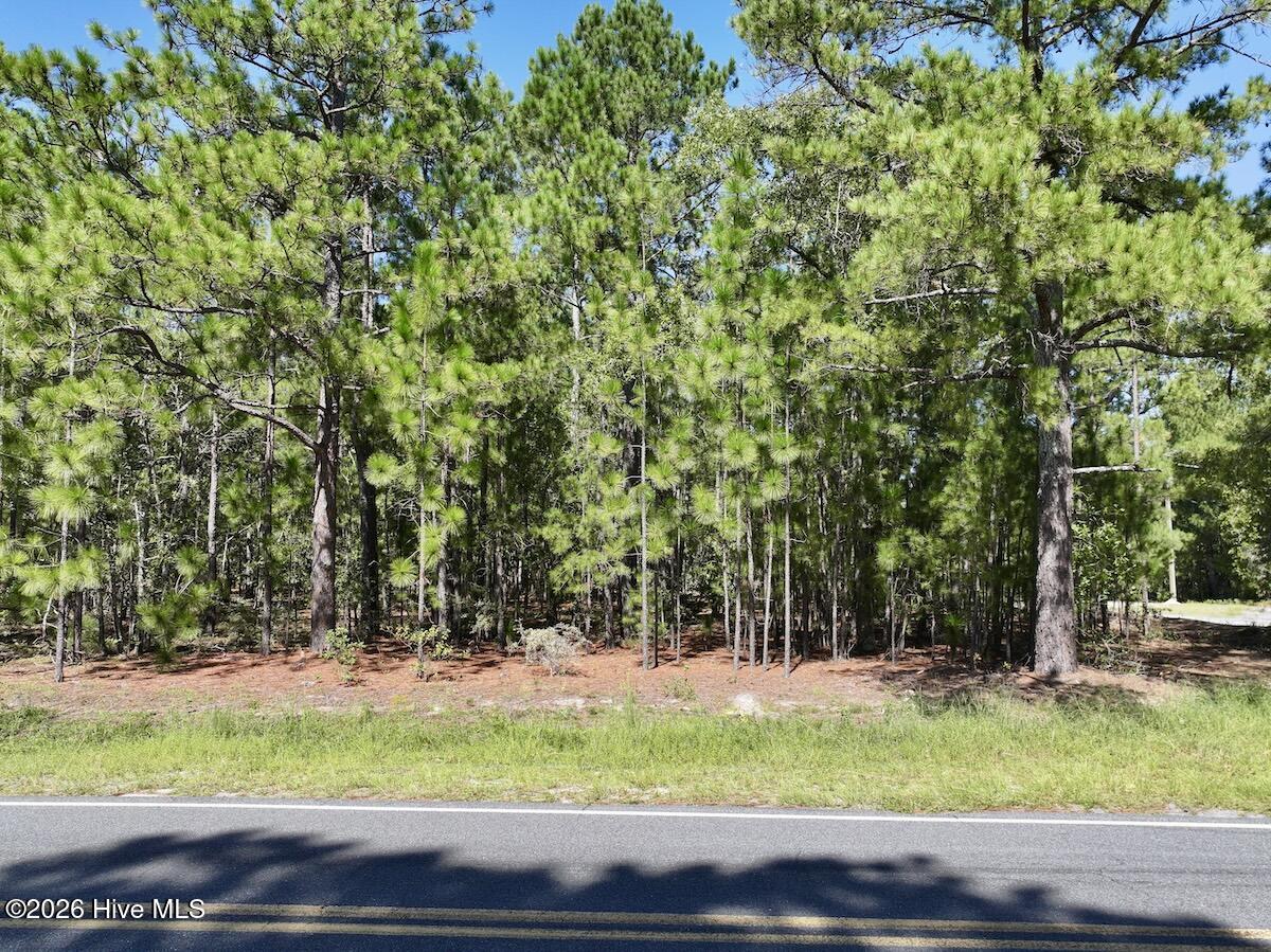 Lot 12 Marks Road Property Photo 16