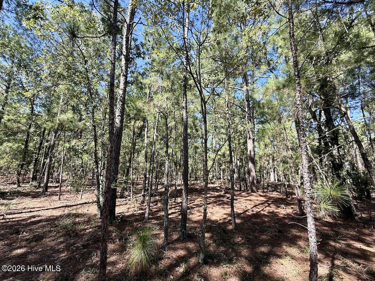 Lot 12 Marks Road Property Photo 18