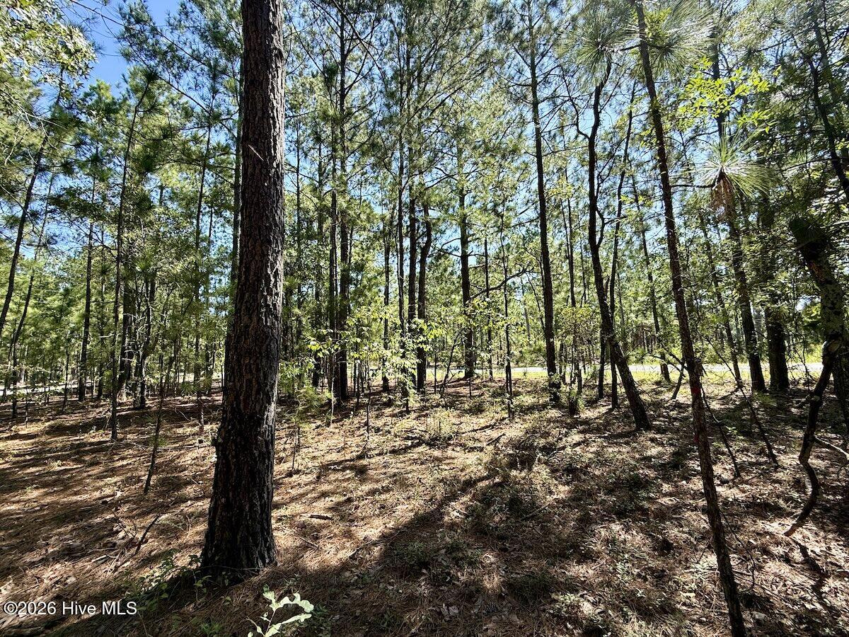 Lot 12 Marks Road Property Photo 19