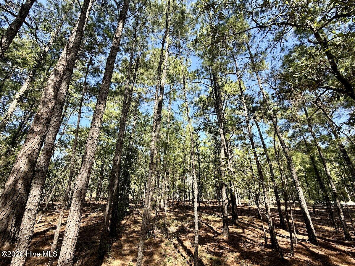 Lot 12 Marks Road Property Photo 20
