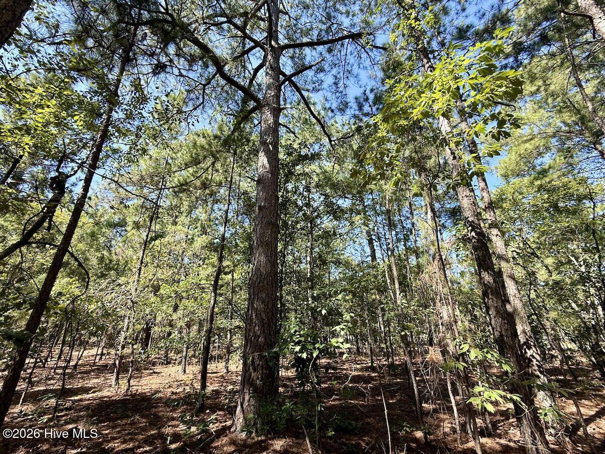 Lot 12 Marks Road Property Photo 21