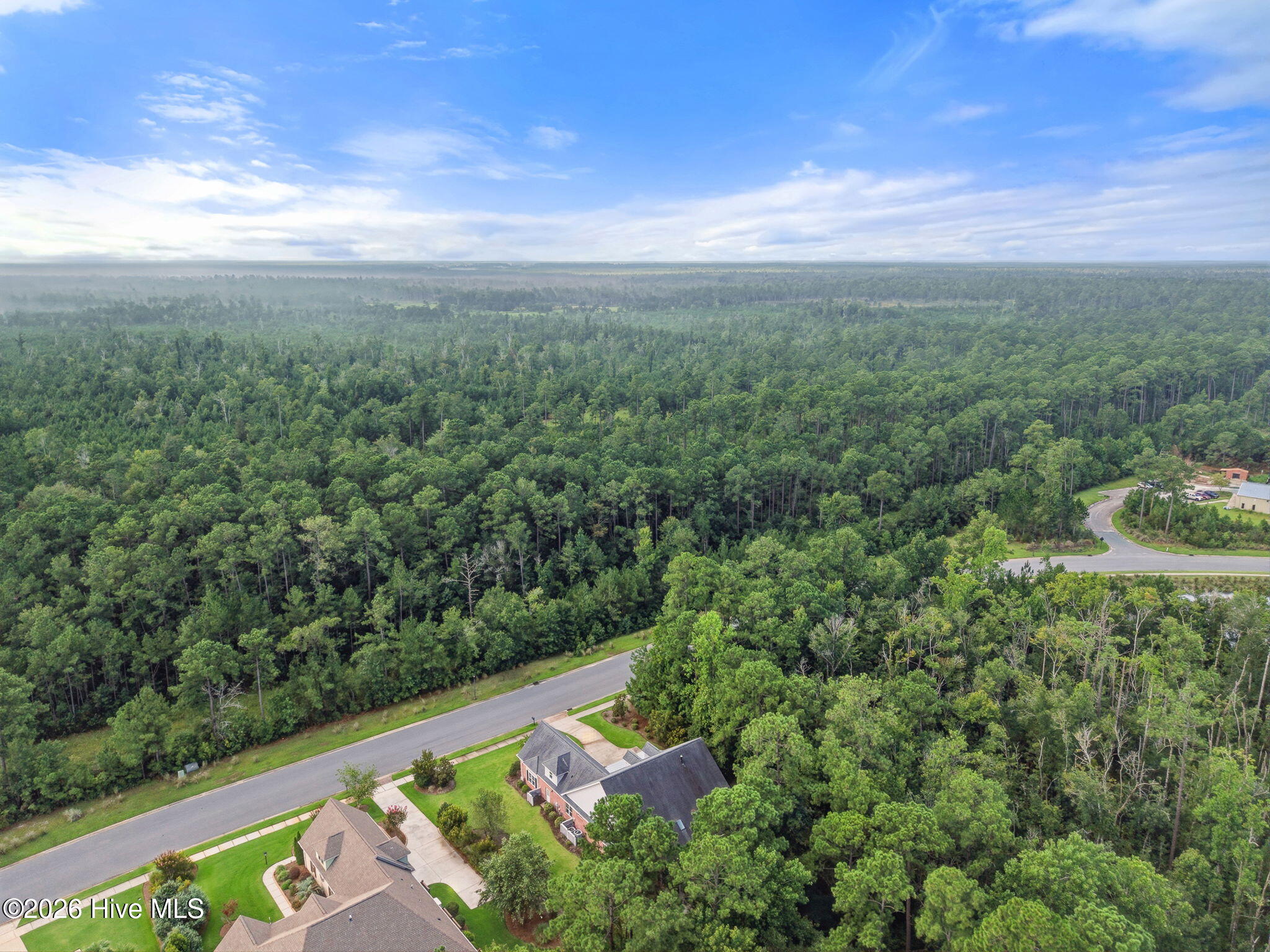 1336 Cape Fear National Drive Property Photo 66